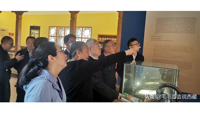 原國(guó)務(wù)院扶貧辦主任劉永富一行蒞臨奇正青稞考察調(diào)研