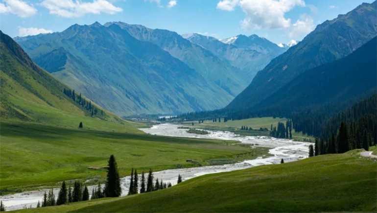 公司治理獲高度認可！奇正藏藥入選中上協“最佳實踐案例”